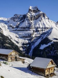 Travel Viral Reels for Social Media Boosting x650